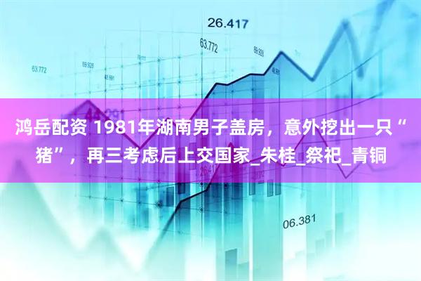 鸿岳配资 1981年湖南男子盖房，意外挖出一只“猪”，再三考虑后上交国家_朱桂_祭祀_青铜