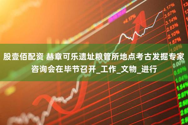 股壹佰配资 赫章可乐遗址粮管所地点考古发掘专家咨询会在毕节召开_工作_文物_进行