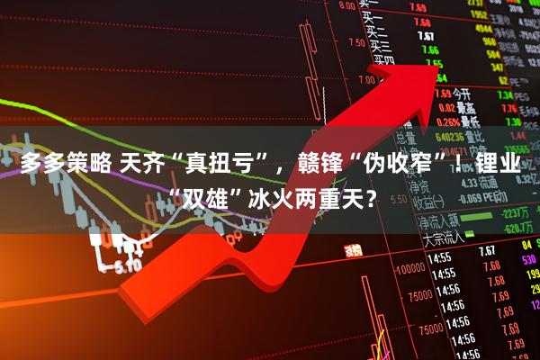多多策略 天齐“真扭亏”，赣锋“伪收窄”！锂业“双雄”冰火两重天？