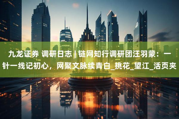 九龙证券 调研日志 | 链网知行调研团汪羽蒙：一针一线记初心，网聚文脉续青白_挑花_望江_活页夹