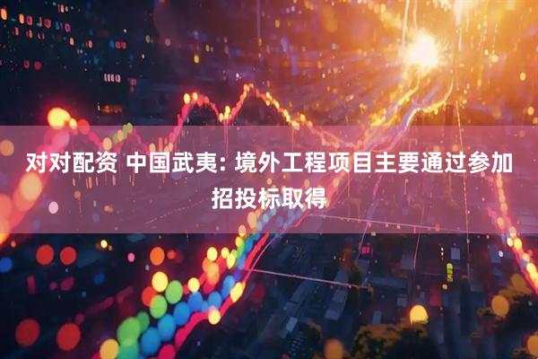 对对配资 中国武夷: 境外工程项目主要通过参加招投标取得
