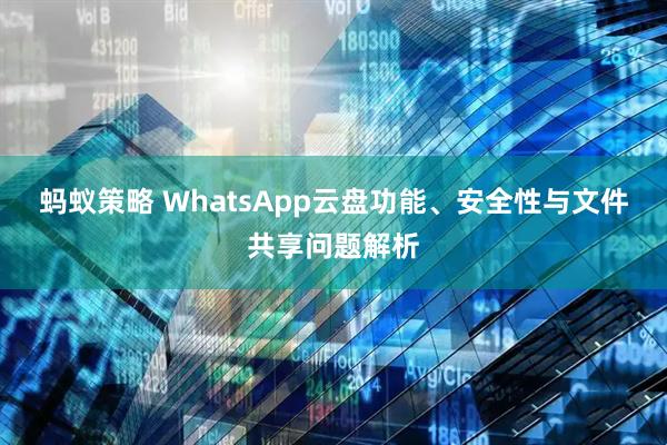 蚂蚁策略 WhatsApp云盘功能、安全性与文件共享问题解析